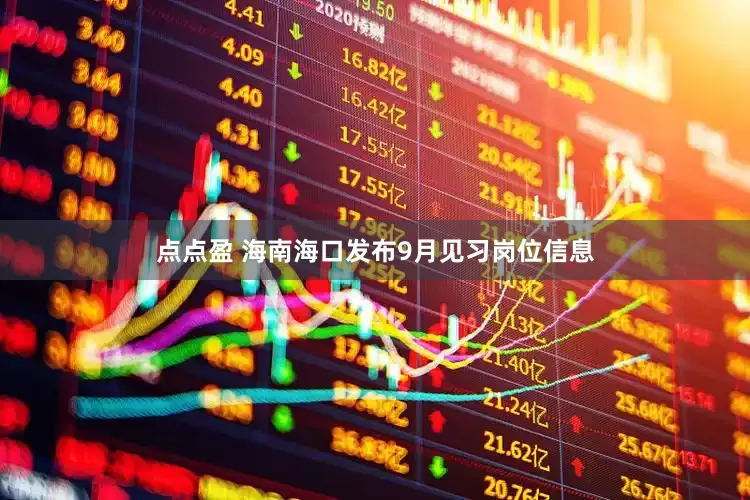 点点盈 海南海口发布9月见习岗位信息