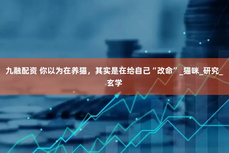 九融配资 你以为在养猫，其实是在给自己“改命”_猫咪_研究_玄学