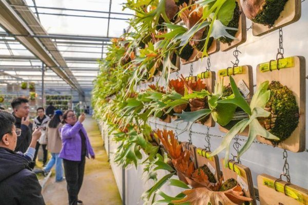 靠谱配 不只西瓜，更是萌宠星球，花宠季活动将亮相大兴庞各庄