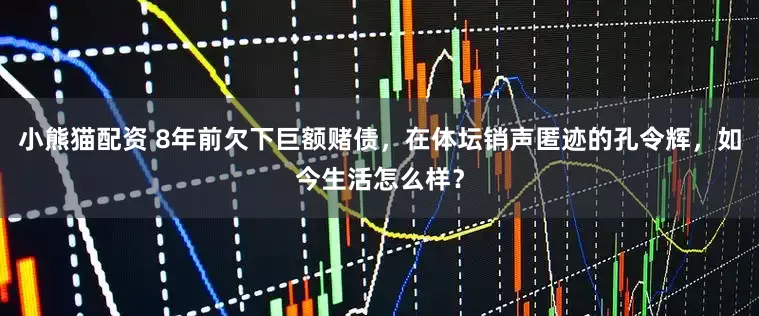 小熊猫配资 8年前欠下巨额赌债,在体坛销声匿迹的孔令辉,如今生活怎么样?